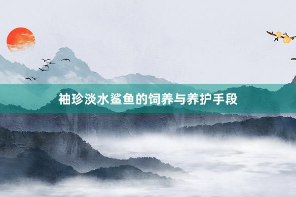 袖珍淡水鲨鱼的饲养与养护手段